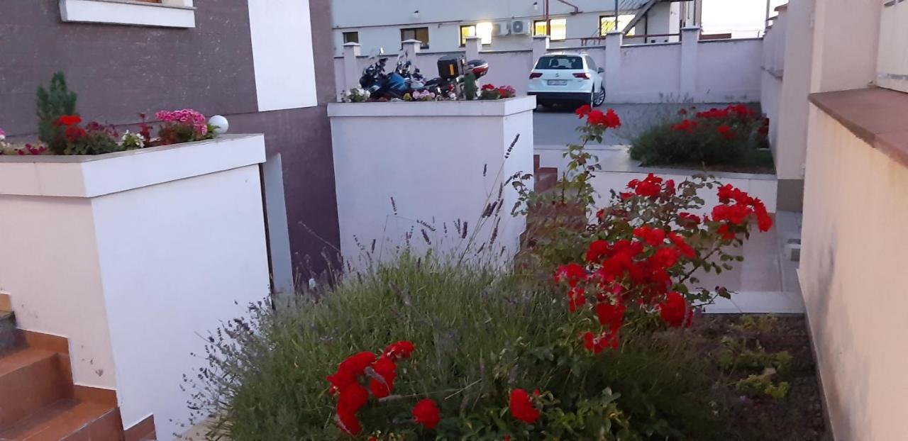 Vila Family Cricova Екстер'єр фото